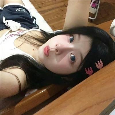 法不容情