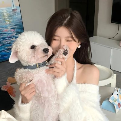 沙滩鼠