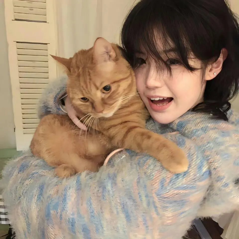 猫和老鼠：魔法戒指